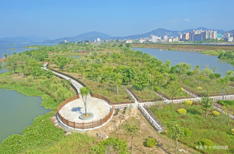 Hanjiangjin Shan Daqiao Wetland Park