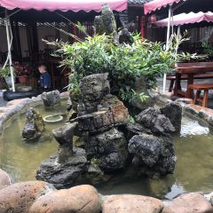 Jin Bi Xuan User Photo