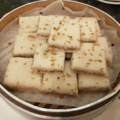 新阳光 ảnh của người dùng