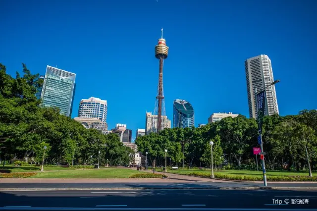 Adventure Outdoors: Wild Life & Adventures in Sydney 2025