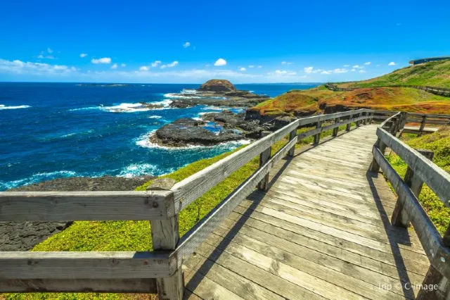 Sydney Tours