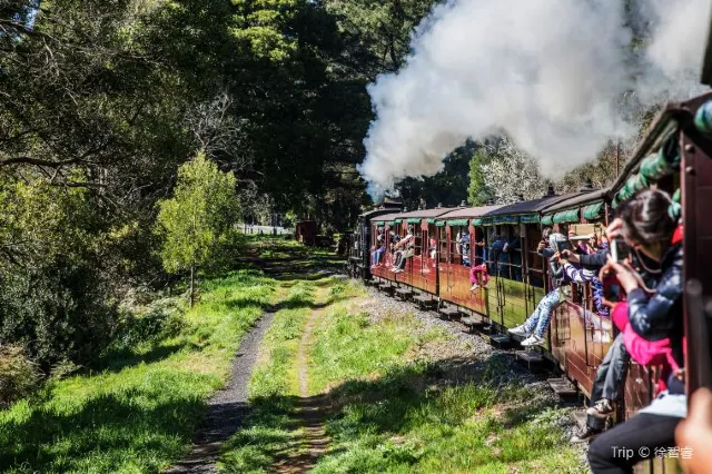 Sydney: The First Stop on Our Australian Adventure