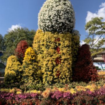 評論圖片 7