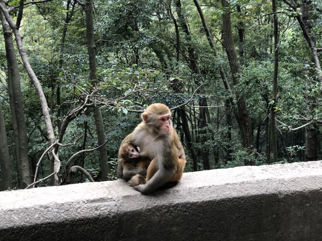 첸링산 공원