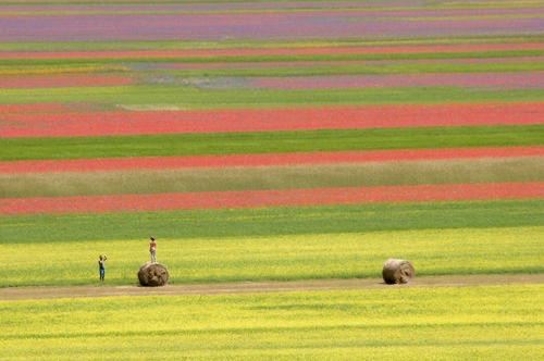 Piana di Castelluccio di Norcia