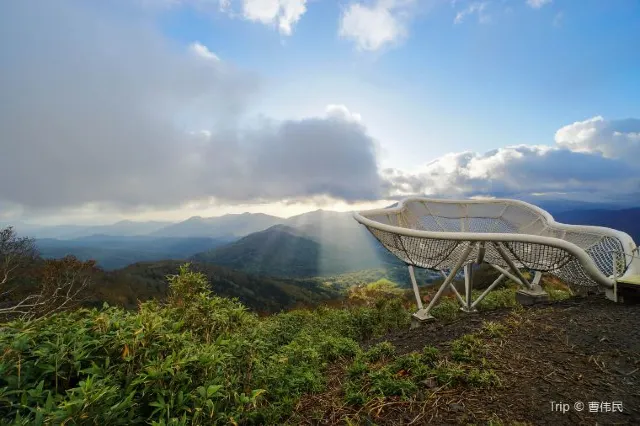 Things to do in Sapporo