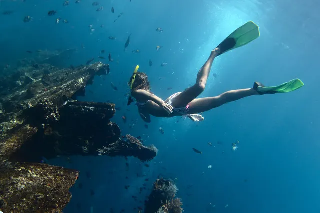 Twenty Thousand Leagues Under the Indonesian Sea