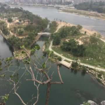 評論圖片 3