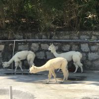 評論圖片 3