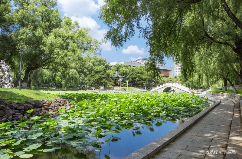 Jinghu Lake