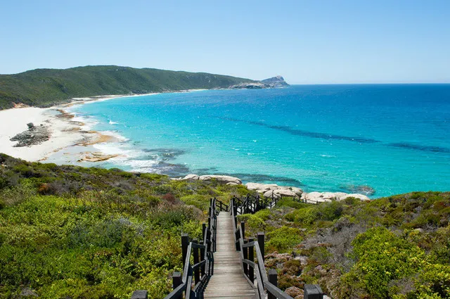 The Best Place to Watch Whales in Australia