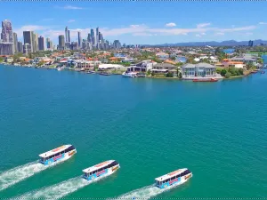 黃金海岸天堂大水鴨