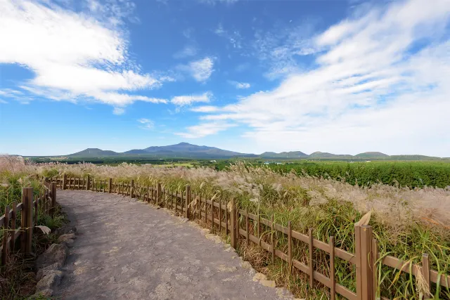 Top 10 must-See Attractions on Jeju Island
