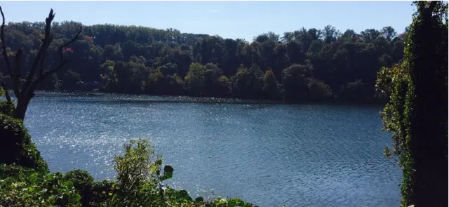 Things to do in Georgetown