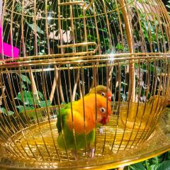 常州富都洲際飯店·龍城咖啡廳自助餐張用戶圖片