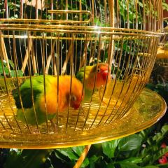 常州富都洲際飯店·龍城咖啡廳自助餐張用戶圖片