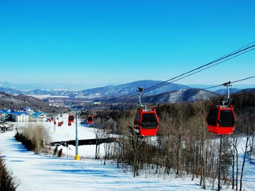 The Powerful Harbin Winter Experience with Limited Sunlight