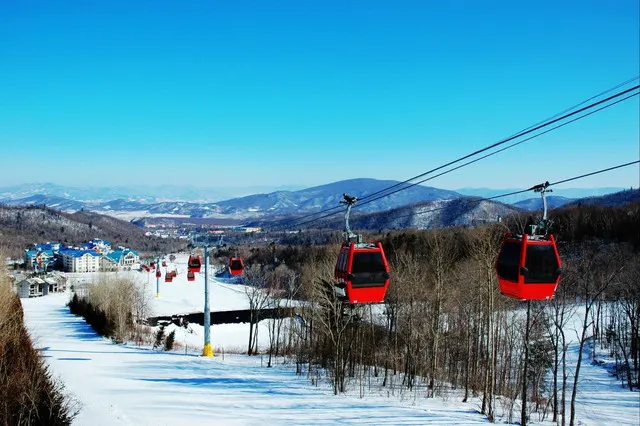 The Powerful Harbin Winter Experience with Limited Sunlight