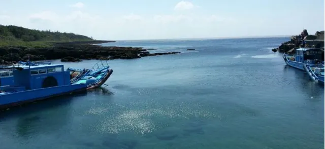 【墾丁】觸手可及的美麗海灣:10大墾丁浮潛景點推介