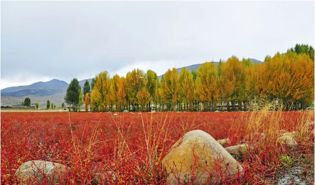 TOP Winter Places to Travel in China for Winter 2025