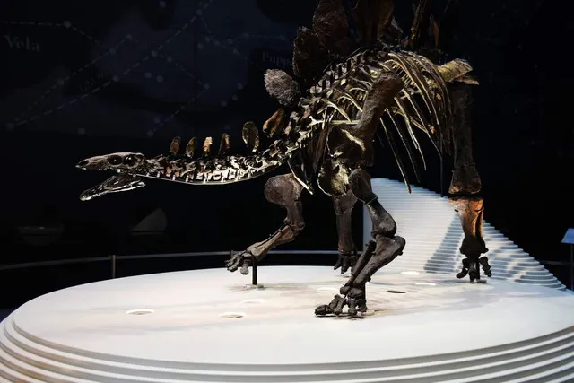 A Guide to the Best Museums in London