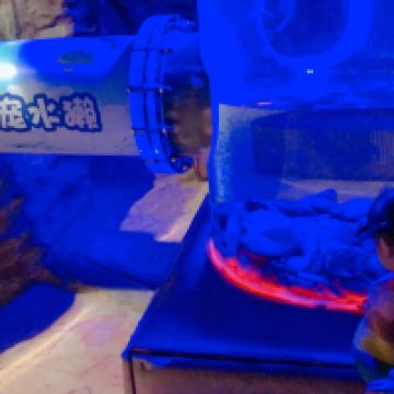 評論圖片 7