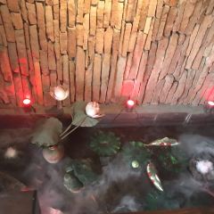 玉楼春(卧龙桥店) User Photo