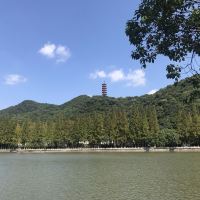 評論圖片 6