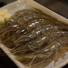 波棱雪用戶圖片