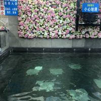 評論圖片 4