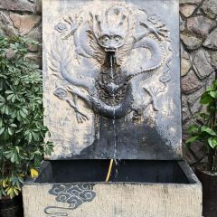 SHU CHU User Photo