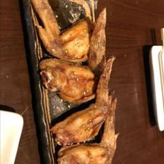 Torisho Ishii User Photo