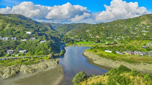 Piha Beach