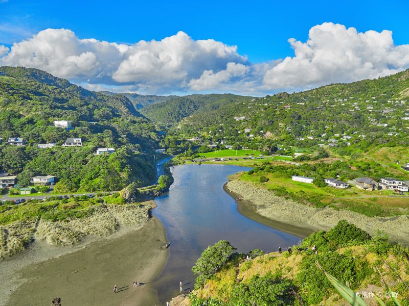 Piha Beach