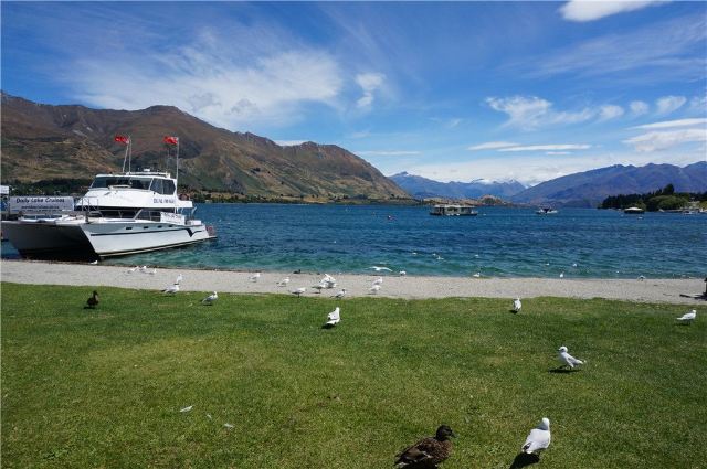 Wanaka Station Park