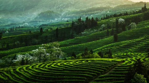 Yibin travel destination