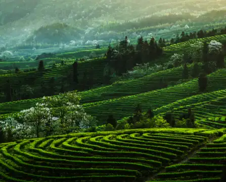 Atour Properties in Yibin