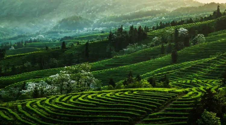 Hotels near University of Electronic Science and Technology