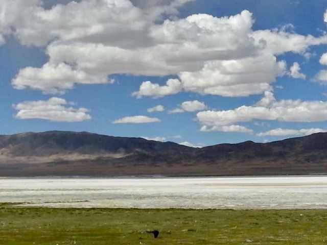 Qiangtang Prairie