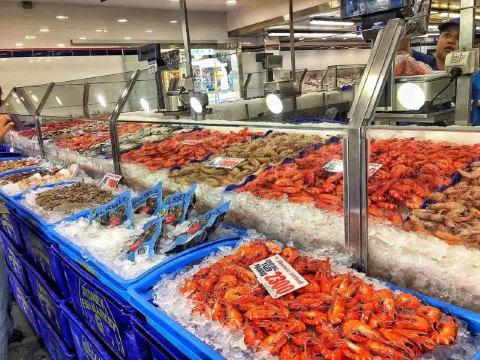 悉尼自由行攻略、市內+郊外景點推薦