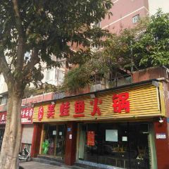 大江美蛙鱼火锅(五星路店) User Photo