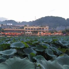 鲜龙井火锅公园(南山店) User Photo