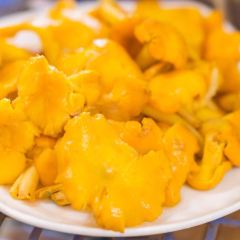 Jingchuan Wild Mushrooms Restaurant User Photo