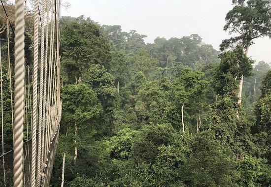 Kakum National Park