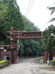 朱家山國家森林公園