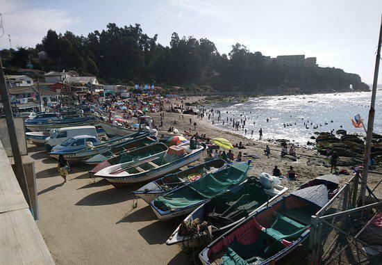 Caleta Horcón