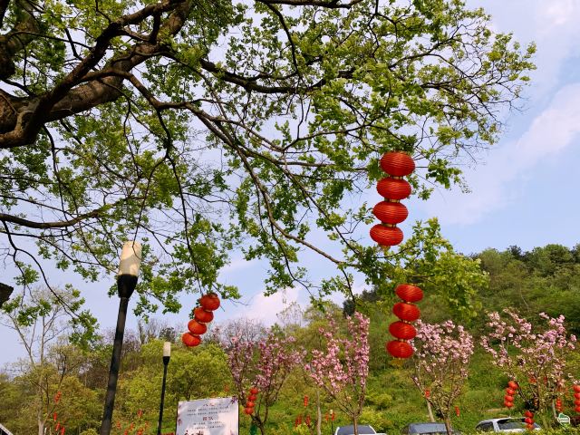 老山國家森林公園