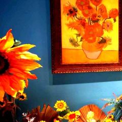 VanGogh Fans Café User Photo