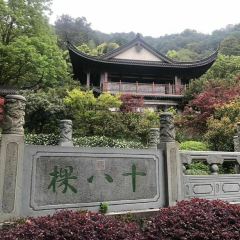 十八棵（老龙井）御茶园(老龙井店) User Photo