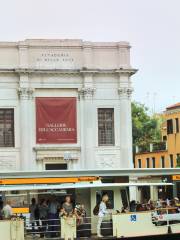 Gallerie dell'Accademia de Venise